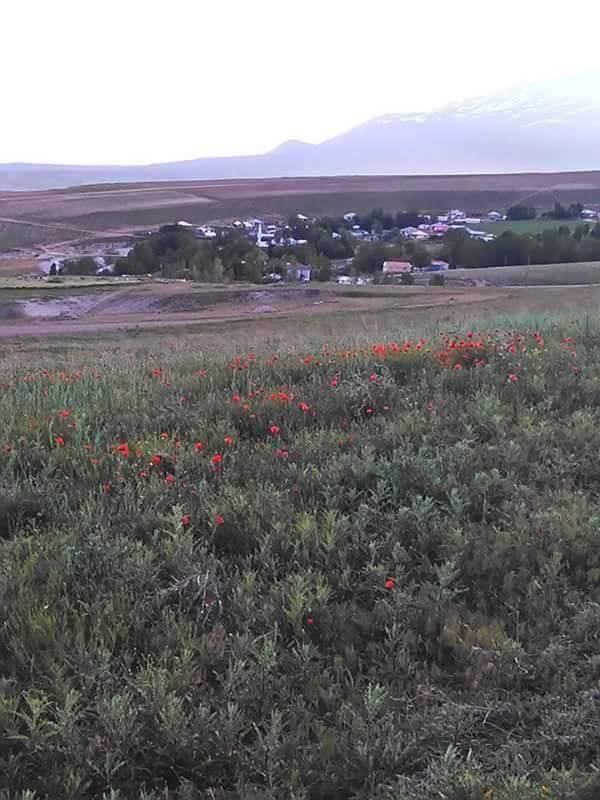 Erciş Karatavuk Köyü Resimleri 1