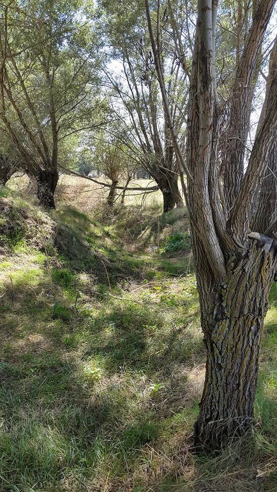 Altıntaş Murathanlar Köyü Resimleri 1
