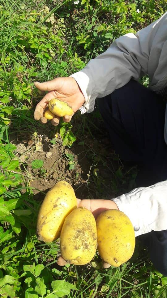 Altıntaş Murathanlar Köyü Resimleri 4