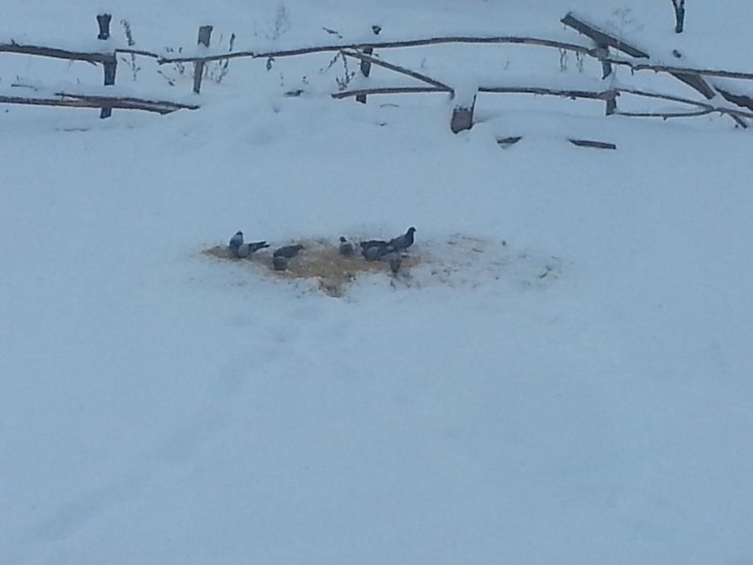 Altıntaş Pınarcık Köyü Resimleri 8