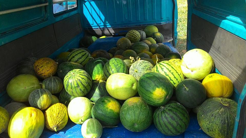 Altıntaş Sadıkkırı Köyü Resimleri 1