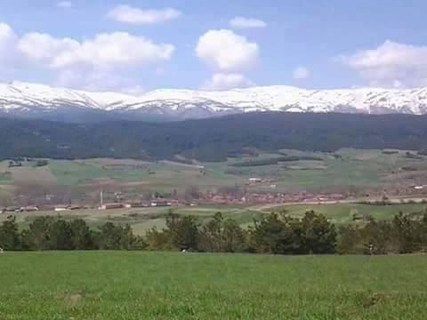 Altıntaş Saraycık Köyü Resimleri 2