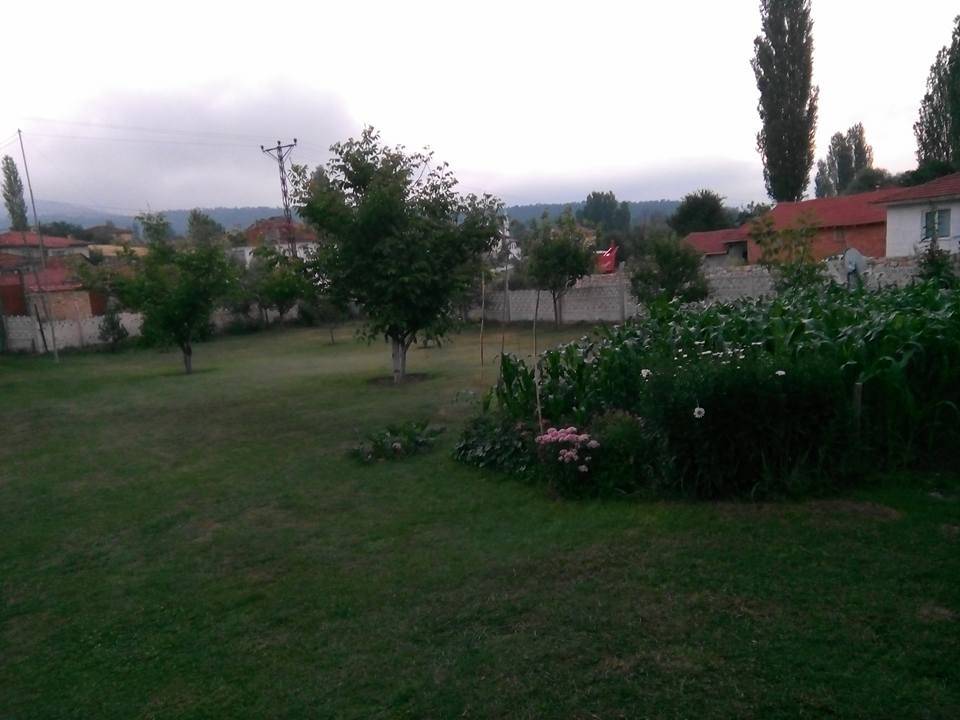 Altıntaş Saraycık Köyü Resimleri 4