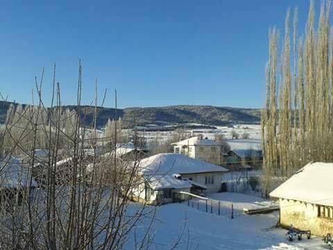 Altıntaş Saraycık Köyü Resimleri 7