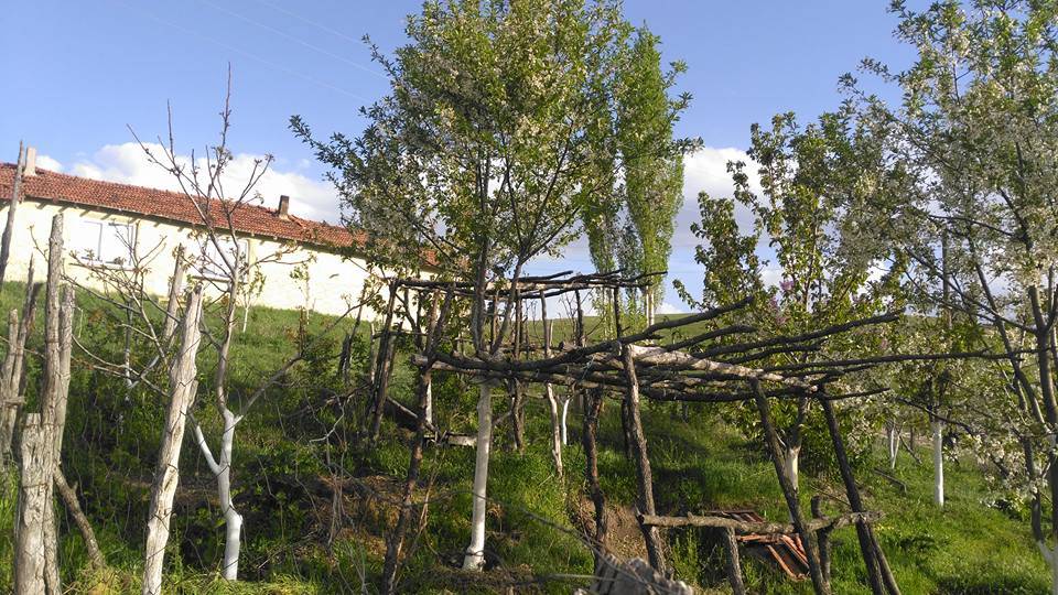 Altıntaş Şanlıyurt Köyü Resimleri 3