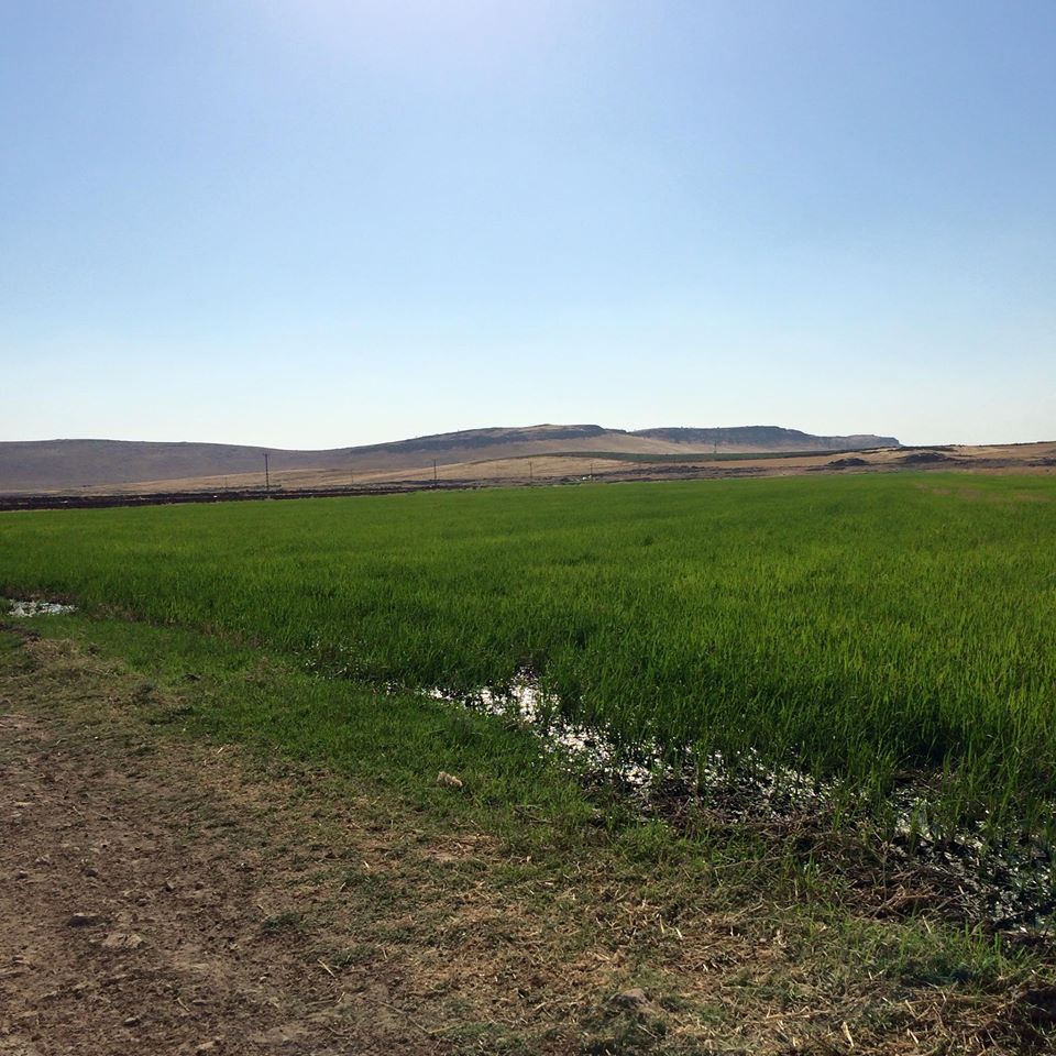 Derik Alagöz Köyü Resimleri 1