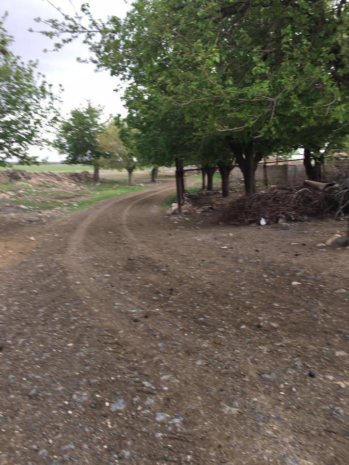 Araban Aşağıyufkalı Köyü Resimleri 3