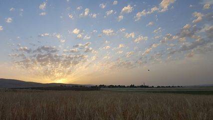 Araban Aşağıyufkalı Köyü Resimleri 5
