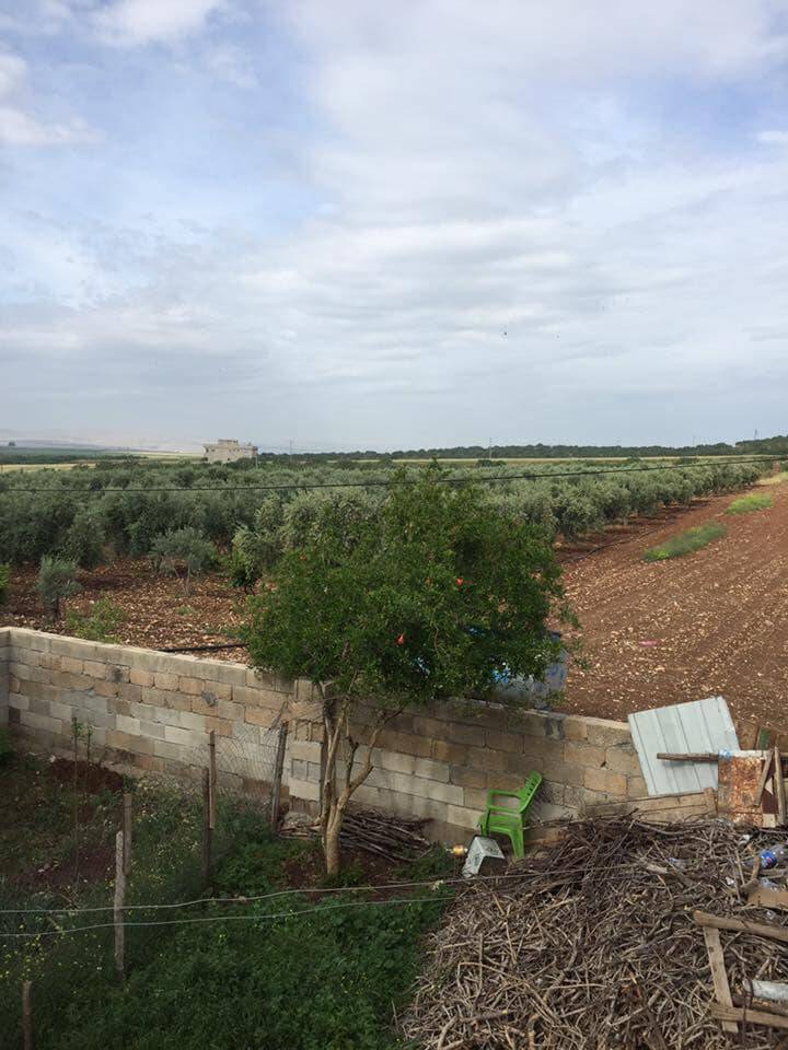 Araban Başpınar Köyü Resimleri 2