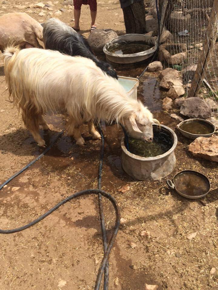 Araban Başpınar Köyü Resimleri 4