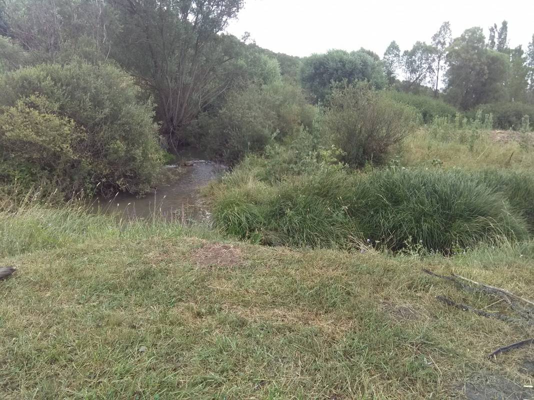 Altıntaş Yayla Köyü Resimleri 6