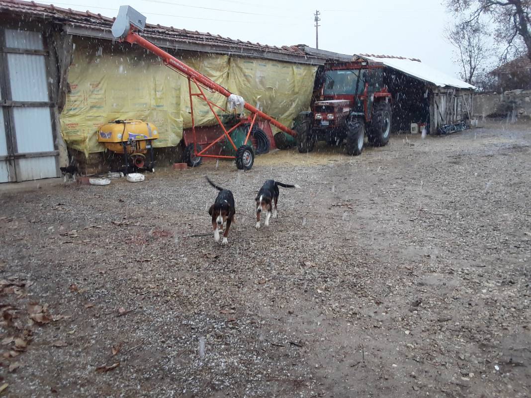 Altıntaş Yayla Köyü Resimleri 7