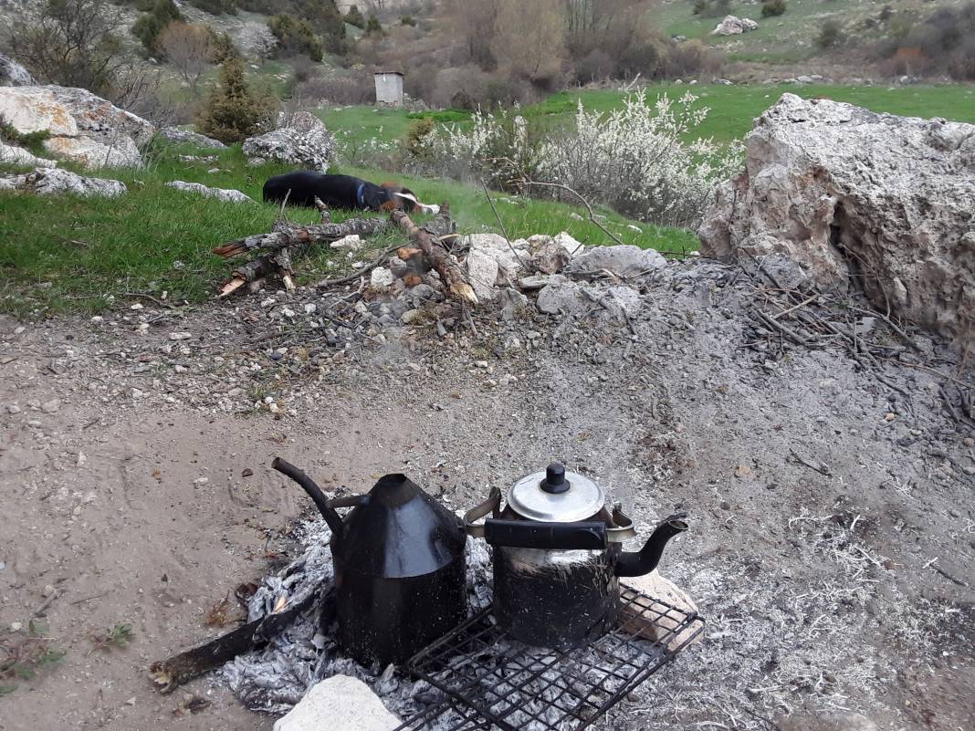 Altıntaş Yayla Köyü Resimleri 9