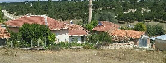 Altıntaş Yenikaraağaç Köyü Resimleri 5