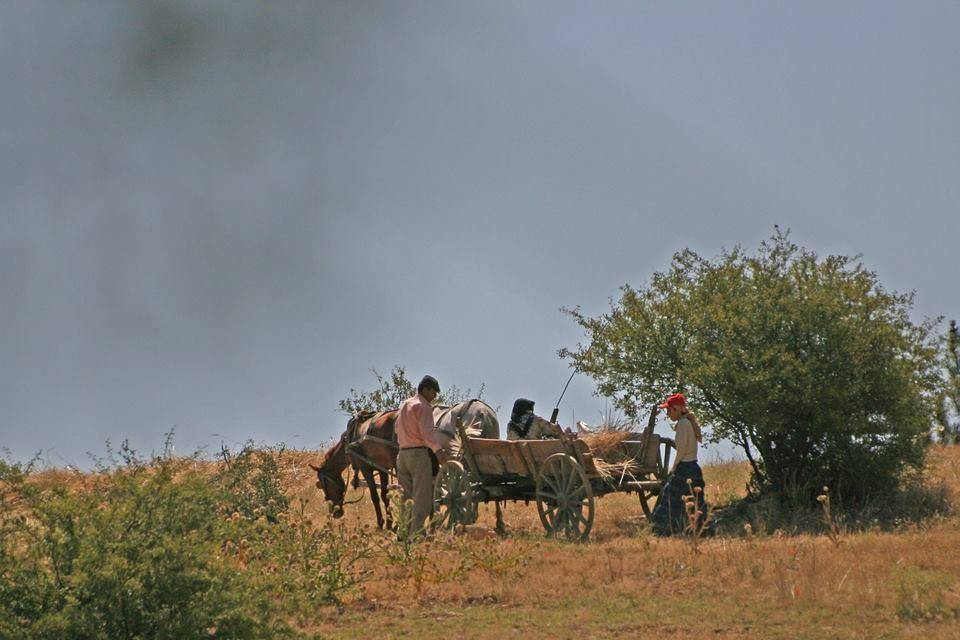 Altıntaş Yeşilyurt Köyü Resimleri 1