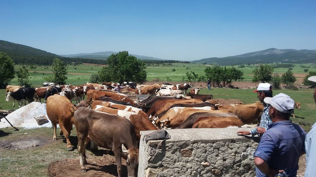 Altıntaş Yeşilyurt Köyü Resimleri 10