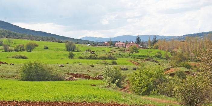 Altıntaş Yeşilyurt Köyü Resimleri