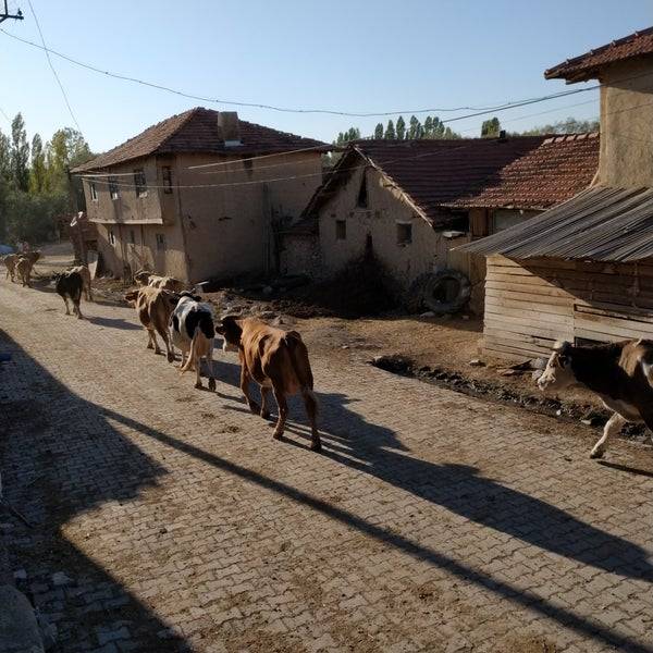 Altıntaş Yolçatı Köyü Resimleri 4