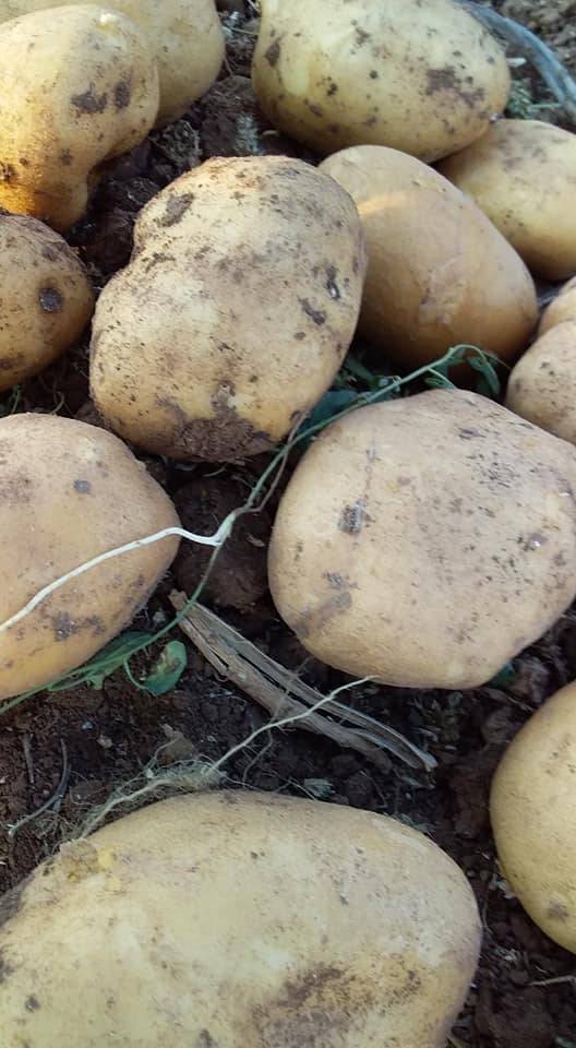 Altıntaş Yolçatı Köyü Resimleri 5