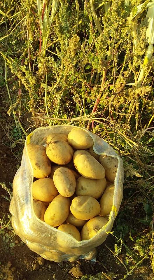 Altıntaş Yolçatı Köyü Resimleri 6