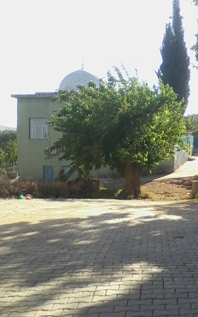 Araban Emirhaydar Köyü Resimleri 10