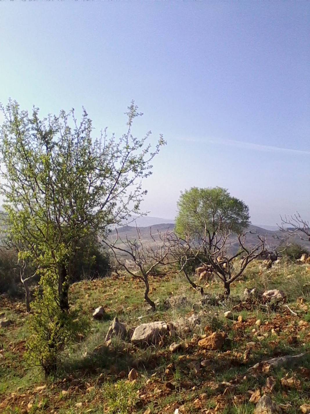 Araban Emirhaydar Köyü Resimleri 15