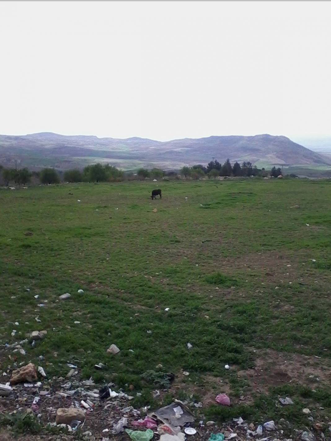 Araban Emirhaydar Köyü Resimleri 20