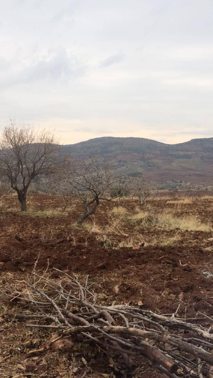 Araban Emirhaydar Köyü Resimleri 25