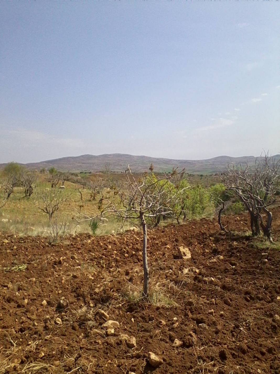 Araban Emirhaydar Köyü Resimleri 3