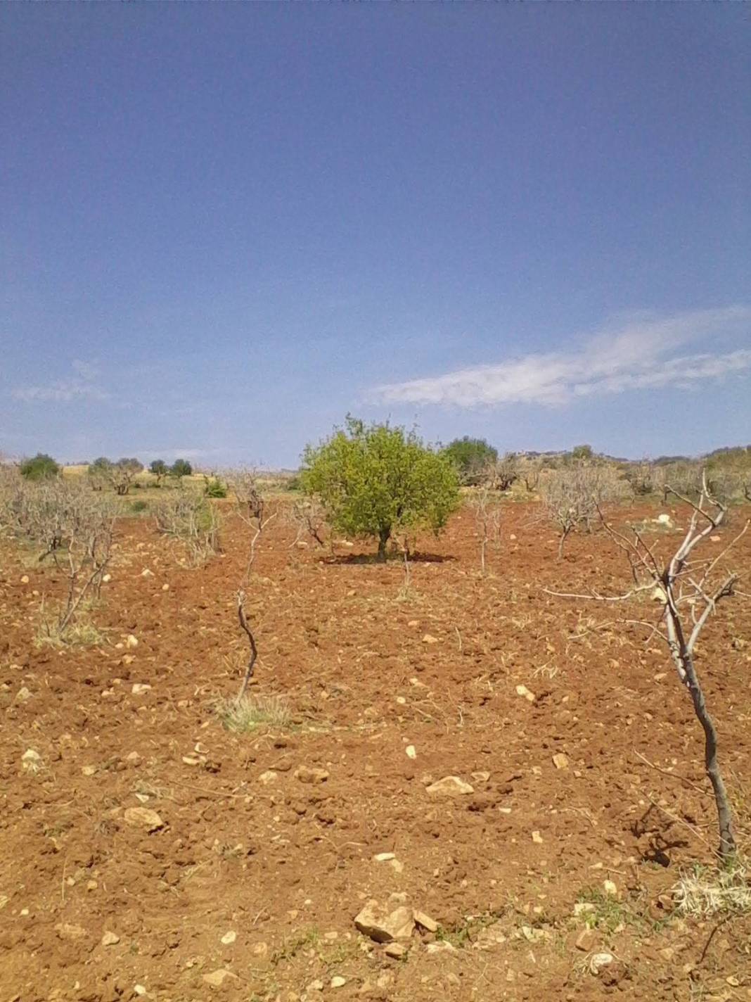 Araban Emirhaydar Köyü Resimleri 9