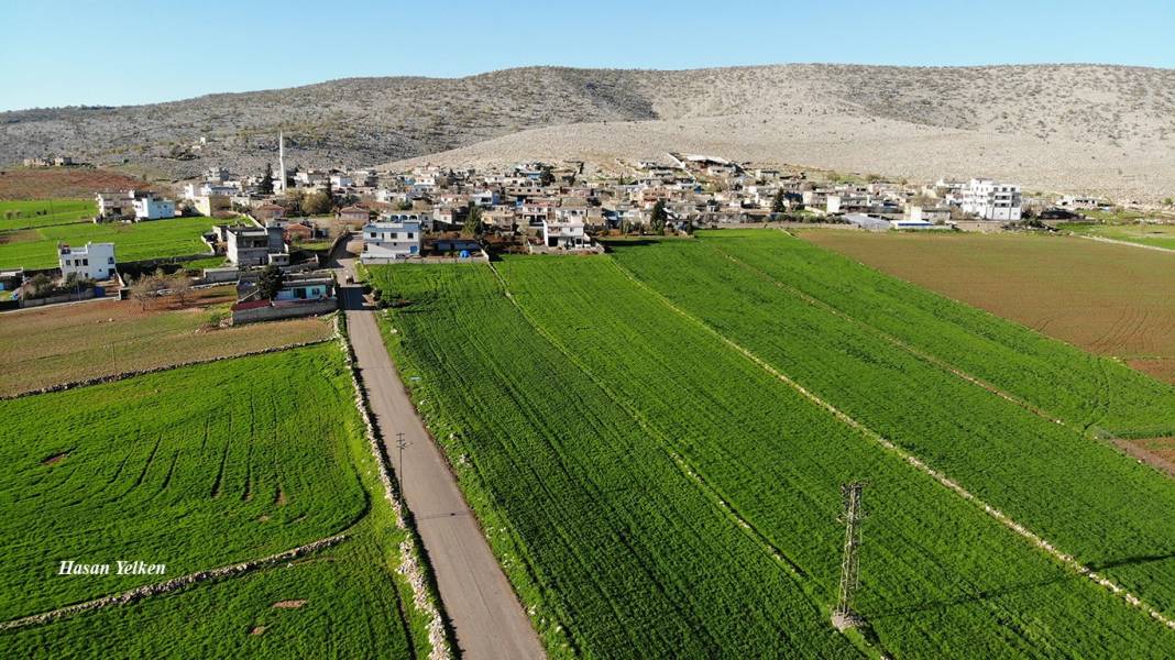 Araban Fıstıklıdağ Köyü Resimleri 5