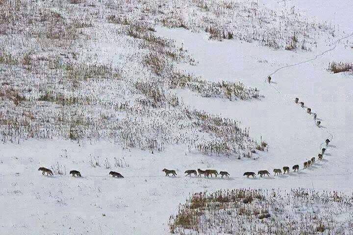 Araban Hisar Köyü Resimleri 4