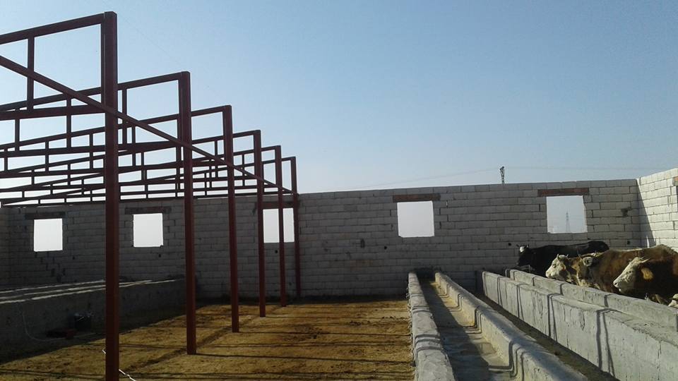 Derik Ambarlı Köyü Resimleri 5