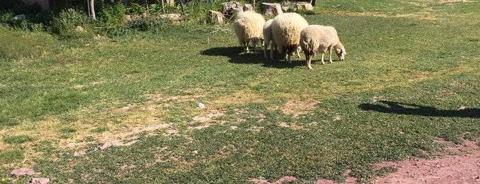 Aslanapa Ballıbaba Köyü Resimleri 2