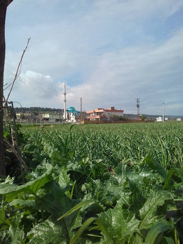 Araban Körhacıobası Köyü Resimleri 10