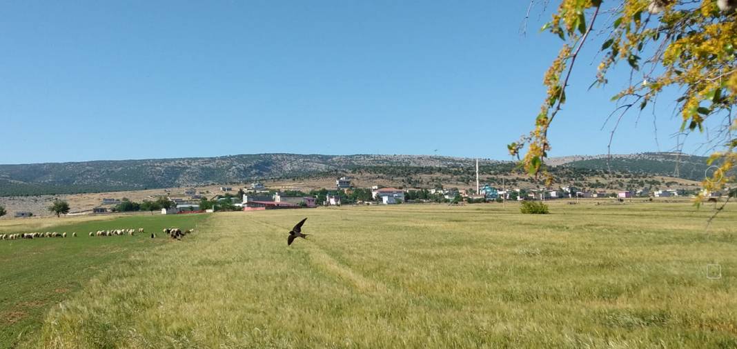 Araban Körhacıobası Köyü Resimleri 16