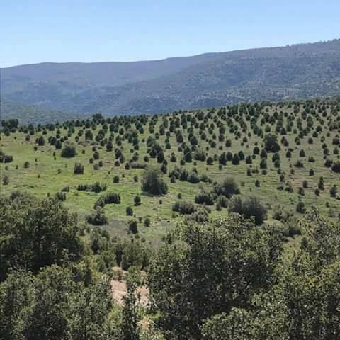 Araban Körhacıobası Köyü Resimleri 9