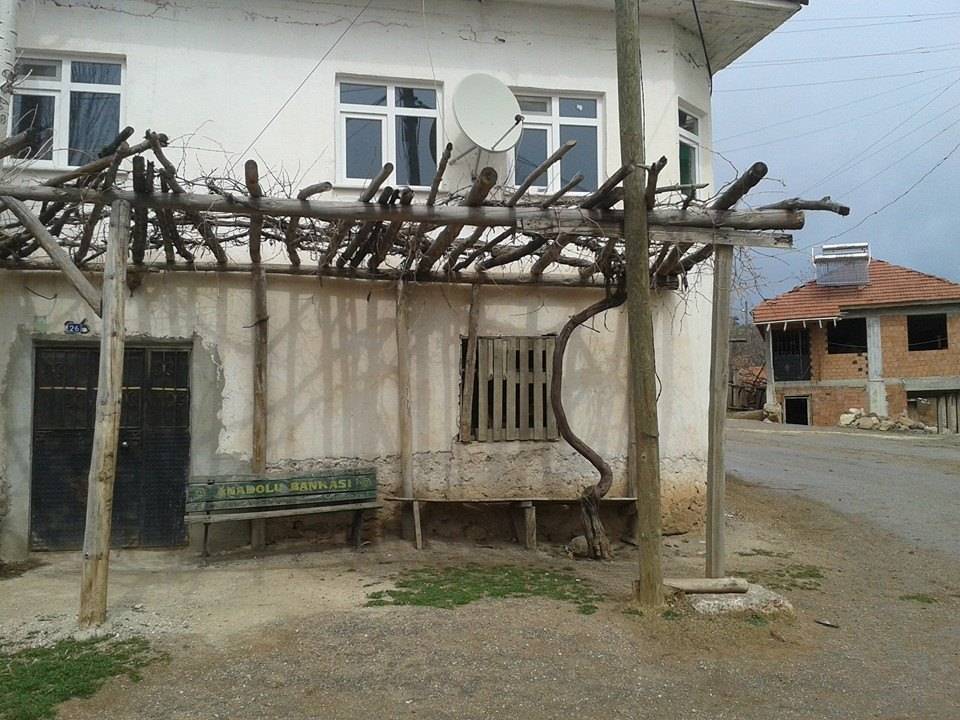 Aslanapa Bayat Köyü Resimleri 15