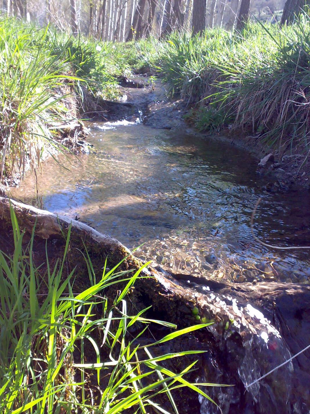 Aslanapa Bayat Köyü Resimleri 3