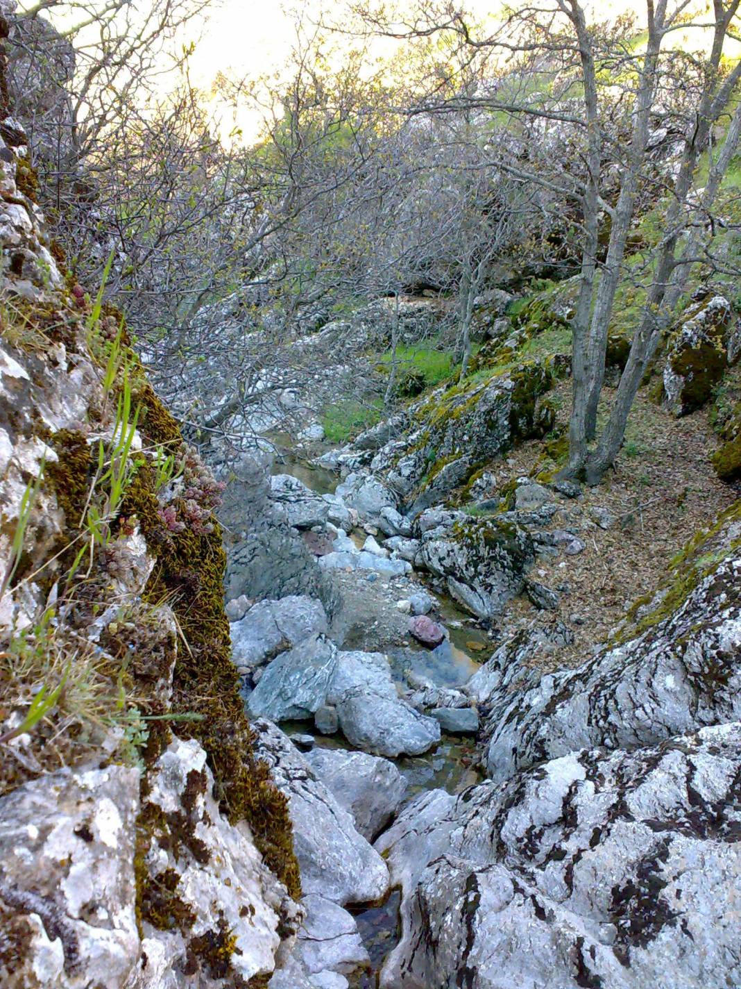 Aslanapa Bayat Köyü Resimleri 7