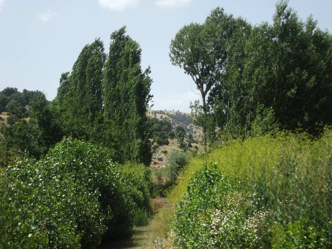 Aslanapa Bayat Köyü Resimleri 8