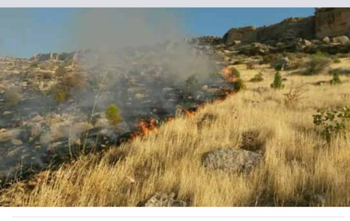 Derik Aşağımezra Köyü Resimleri 4