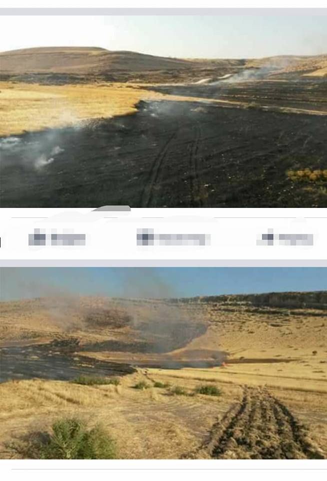 Derik Aşağımezra Köyü Resimleri 6