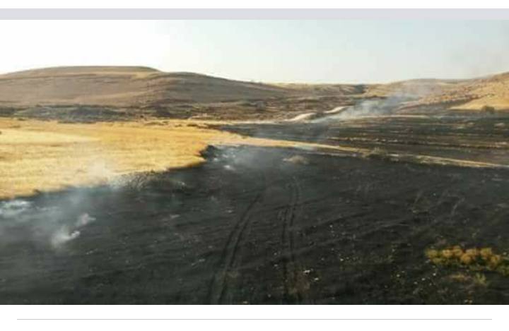 Derik Aşağımezra Köyü Resimleri 7