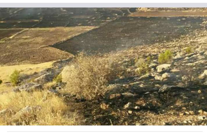 Derik Aşağımezra Köyü Resimleri 8