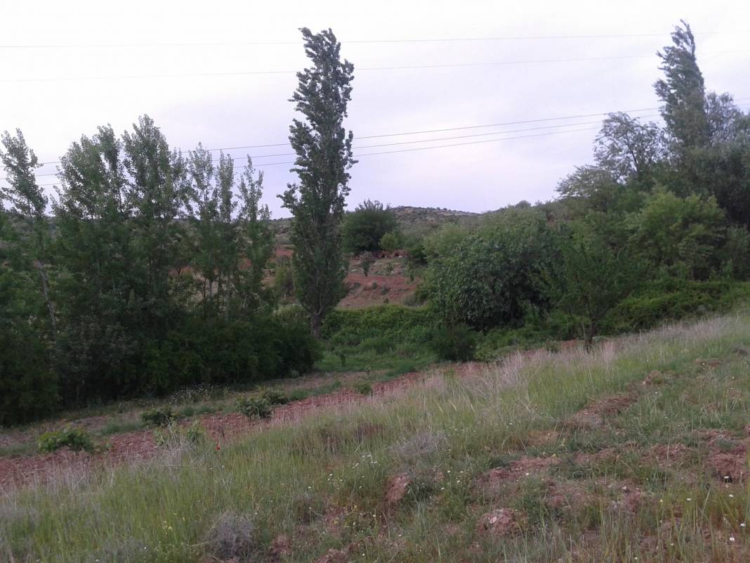 Araban Yaylacık Köyü Resimleri 2