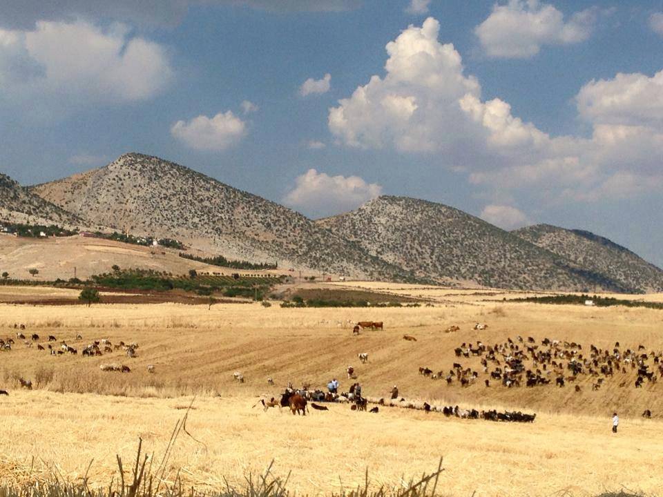 Araban Yolveren Köyü Resimleri 4