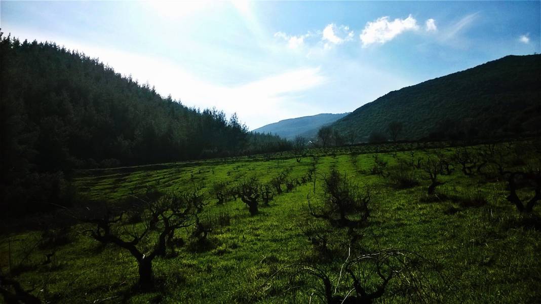 İslahiye Ağabey Köyü Resimleri 14