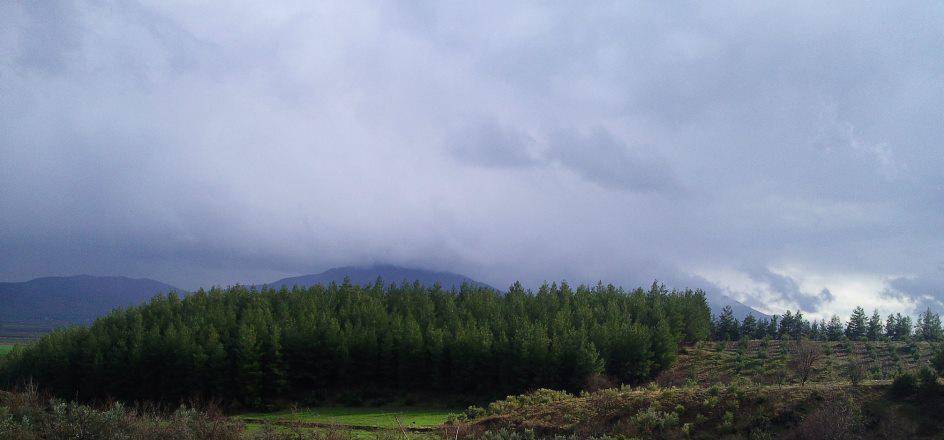 İslahiye Ağabey Köyü Resimleri 3