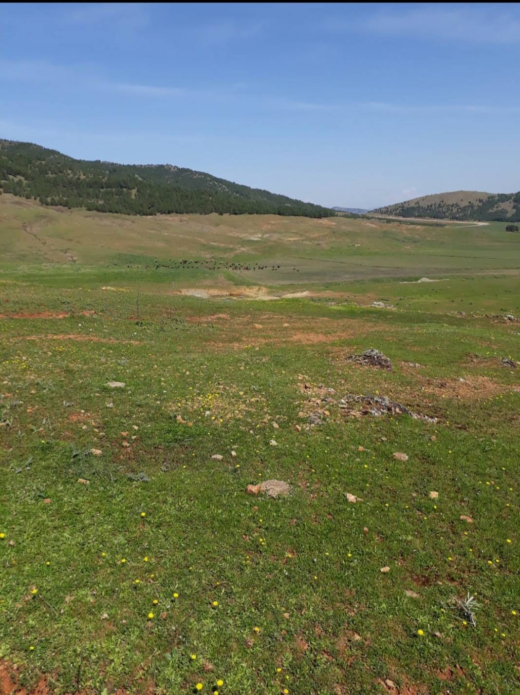 İslahiye Ağalarobası Köyü Resimleri 10